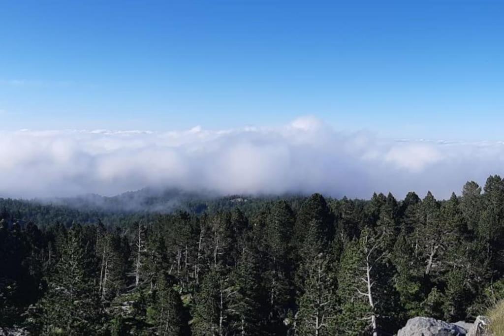 Studio La Pierre Saint Martin Refait Au Gout Du Jour Vue Sur La Vallee Dış mekan fotoğraf